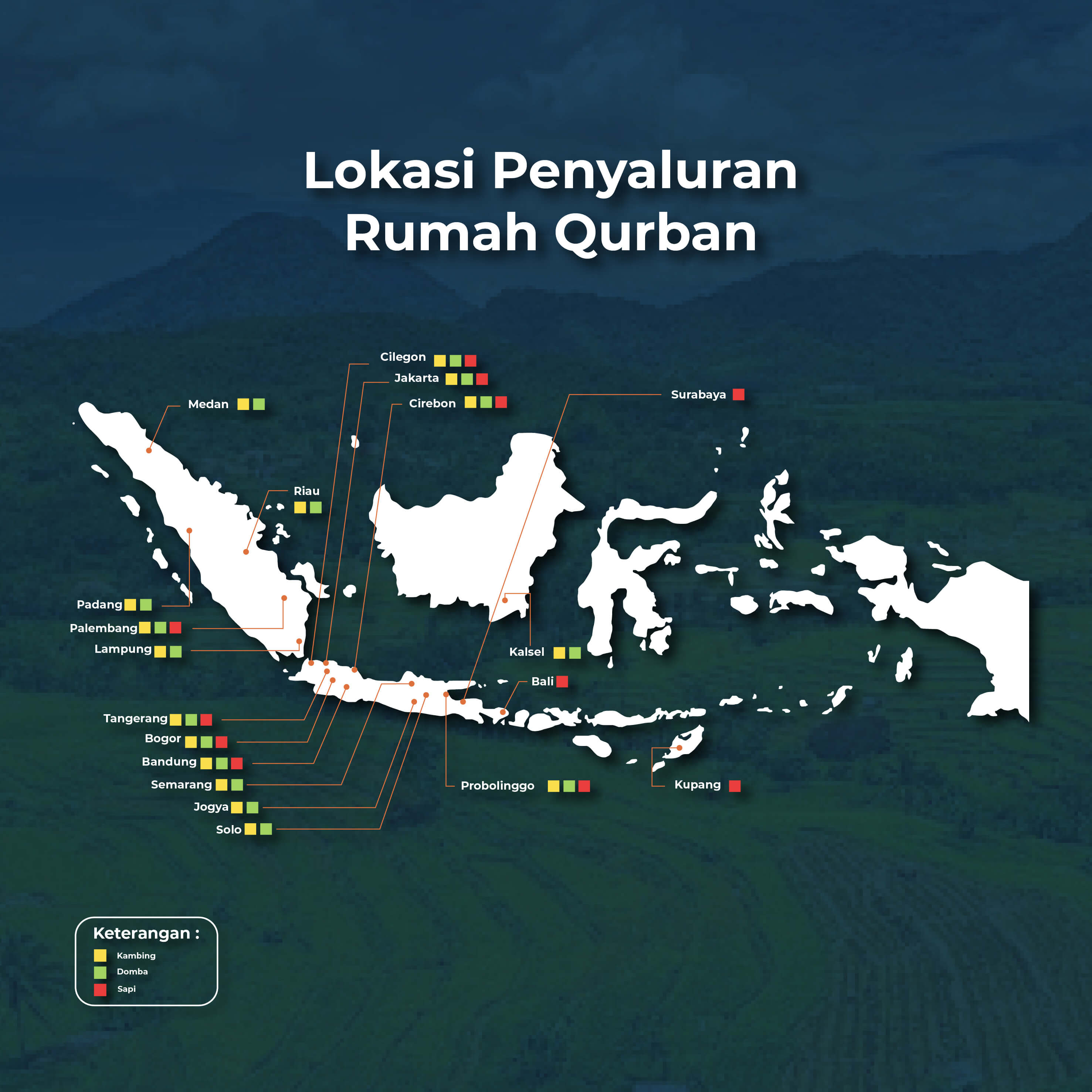 infografis-statistik-mobile